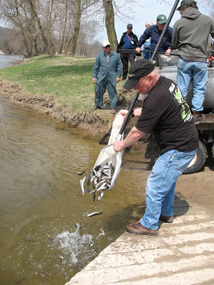 Lake murray fishing report dnr indiana