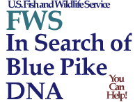 Fish and Wildlife in Search of Extinct Blue Pike