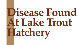  Federal hatchery in Iron River Wisconsin won't be accepted by the Minnesota DNR