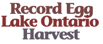 Salmon-Egg Harvest: 2.8 Million