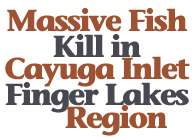  Fuel spill wipes out Inlet trout