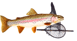  Trout with net
