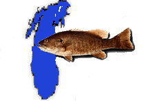 smallmouth bass and lake michigan