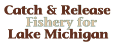 they handed DNR Fish Chief Mike
Conlin and his Lake Michigan staff a surprise when they voted
overwhelmingly to go to a catch and release only program.  
