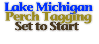 Perch tagging Project