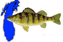 Lake Michigan Perch