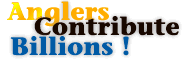 Anglers contribute billions!