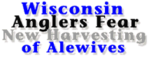 Anglers fear Alewife Harvest