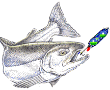 coho with epa lure