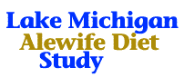 Alewife diet study begins