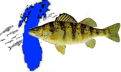 Alewife diet study begins