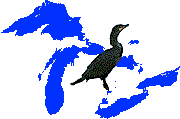commorant and the great lakes