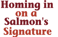 Homing in on a salmon's signature