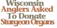 Anglers asked to donate organs