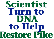 Scientist turn to DNA