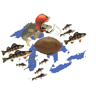 Staduim Goes Fishing- Reef