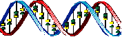 DNA and Lakes