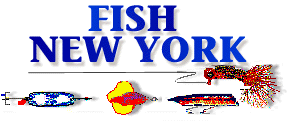 Fishing in New York