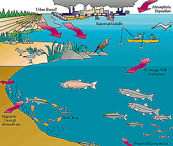 pollution entering environment