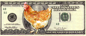 chicken feed?
