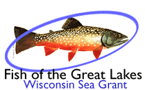 courtesy-Wisconsin Sea Grant