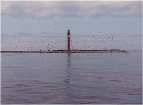 island~1.jpg-58K