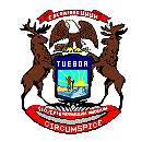 Michigan Emblem