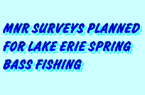 MNR LAKE ERIE SURVEY