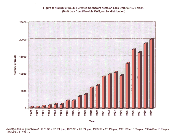 A chart showing the number of Double-Crested Cormorants on Lake Ontario.