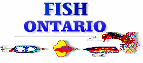 Fishing in Ontario, Canada